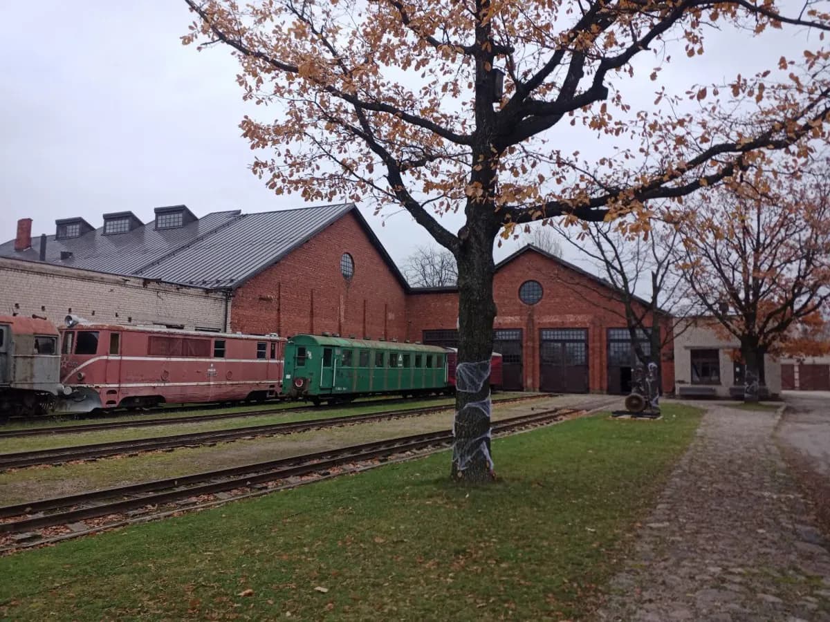 Kalėdinis siaurukas Panevėžyje (kelionė į šventinį depą pas Kalėdų Senelį), Panevėžys